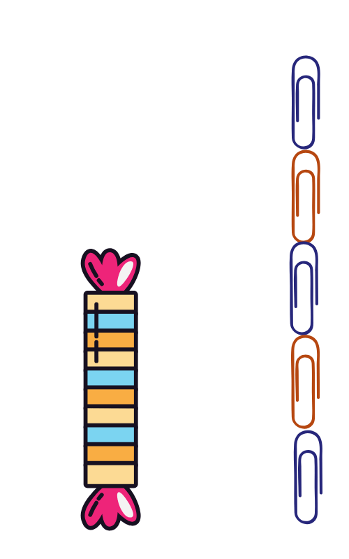 Measure length and height
