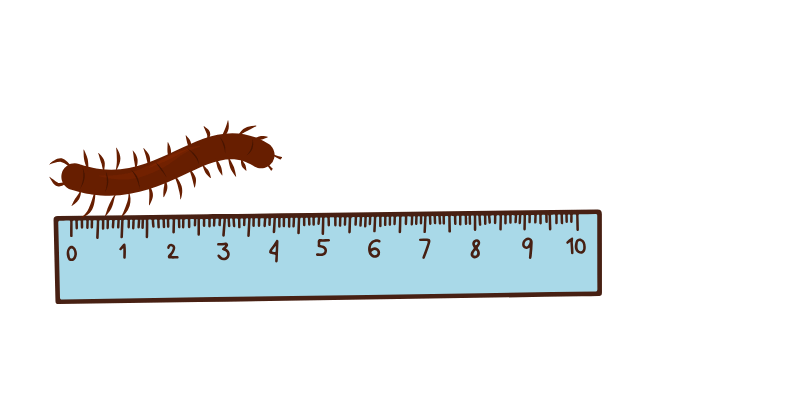 measure length