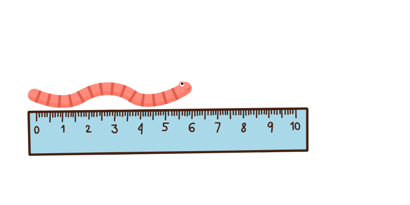 measure length