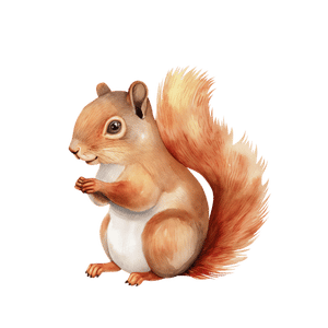 interpret bar graphs