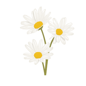 interpret bar graphs