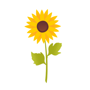 interpret bar graphs